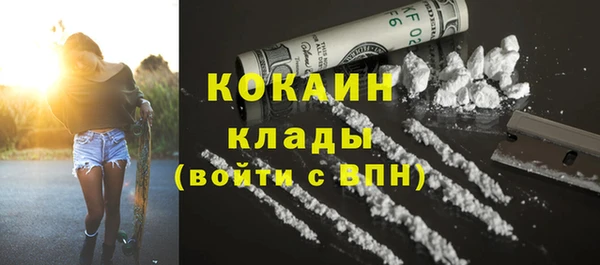 spice Богородицк