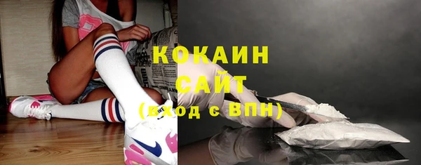 эйфоретик Богородск