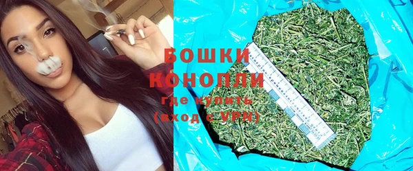 spice Богородицк