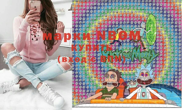 spice Богородицк