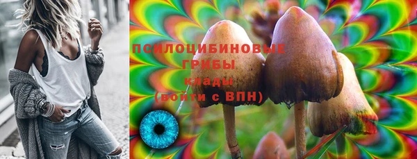 spice Богородицк