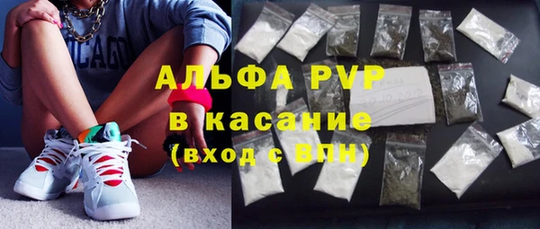 spice Богородицк