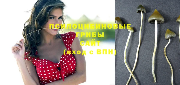 мет Богданович